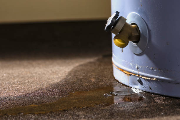 Best Ceiling water damage repair  in Elizabethtown, PA