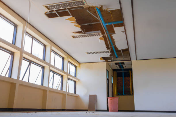 Best Flood restoration services  in Elizabethtown, PA