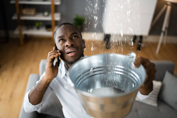 Best Mold removal after water damage  in Elizabethtown, PA
