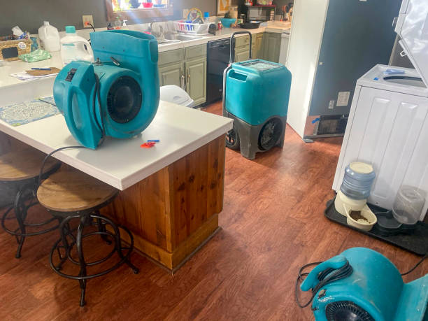 Best Sewage cleanup and water damage restoration  in Elizabethtown, PA