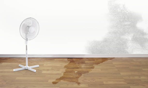Water damage restoration insurance claims in Elizabethtown, PA