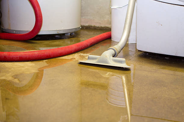 Best Carpet water damage restoration  in Elizabethtown, PA