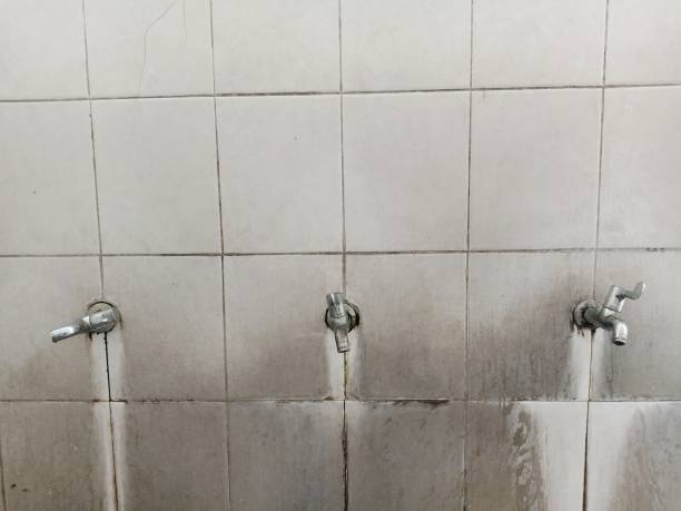 Best Flood restoration services  in Elizabethtown, PA
