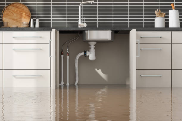 Best Water damage restoration near me  in Elizabethtown, PA