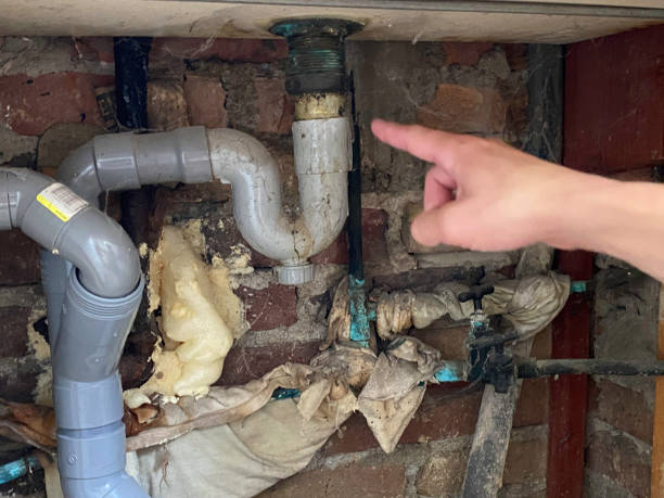 Best Water damage restoration services  in Elizabethtown, PA