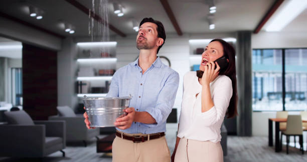 Best Basement water damage restoration  in Elizabethtown, PA